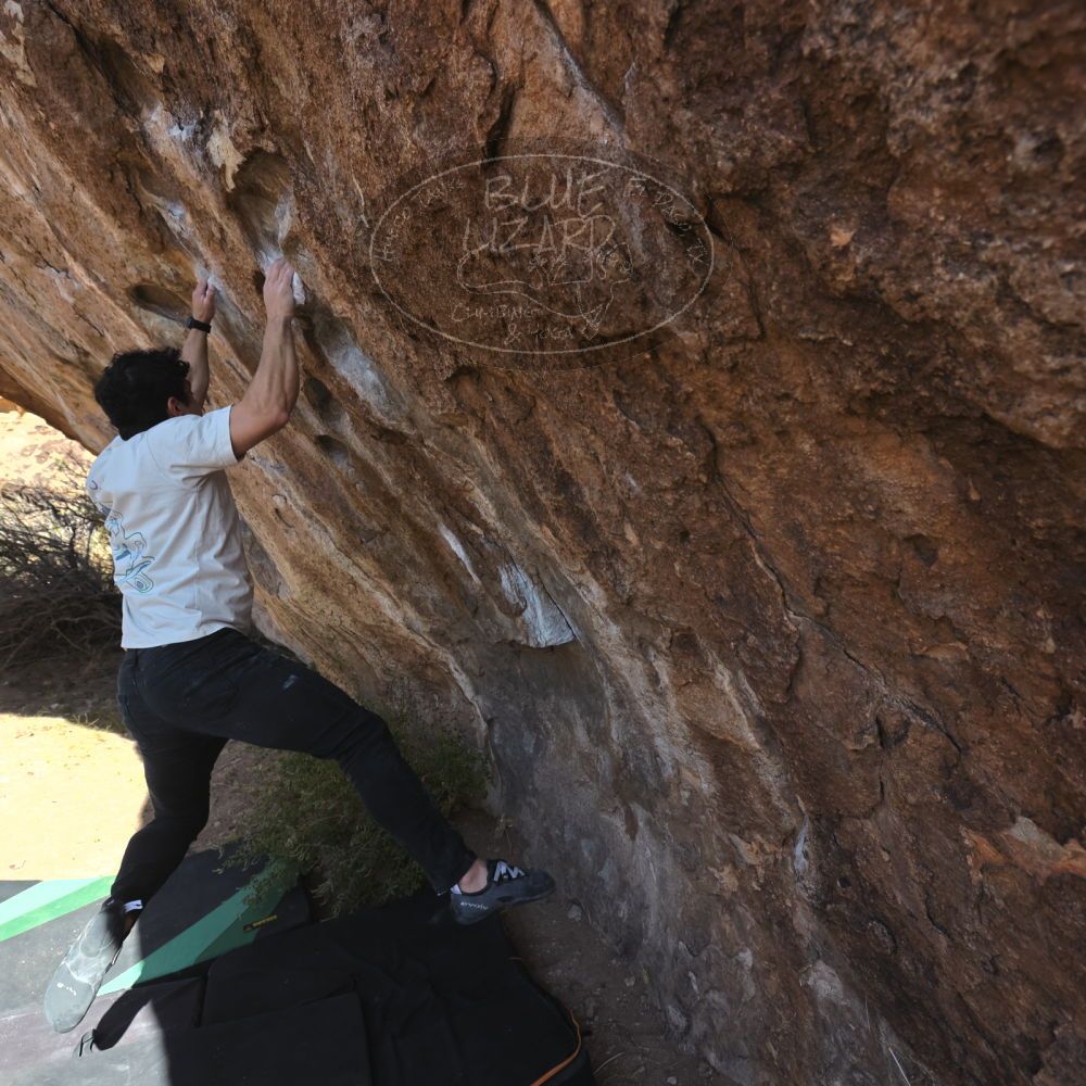 

Filename: SRM_20251126_1106190.jpg
Aperture: f/5.6
Shutter Speed: 1/1000
Body: Canon EOS R6
Lens: Canon EF 16-35mm f/2.8 L