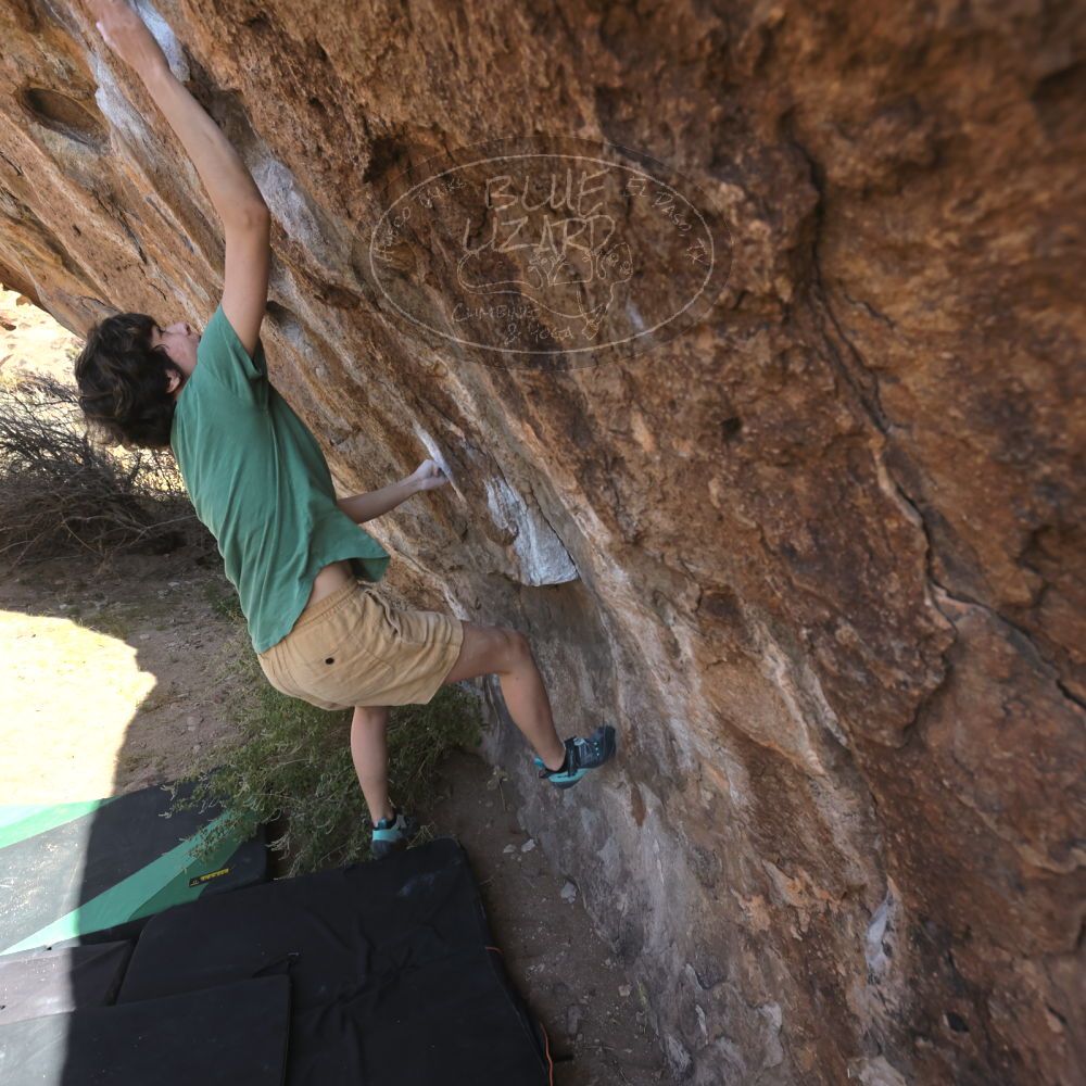 Filename: SRM_20251126_1107000.jpg
Aperture: f/5.6
Shutter Speed: 1/1000
Body: Canon EOS R6
Lens: Canon EF 16-35mm f/2.8 L