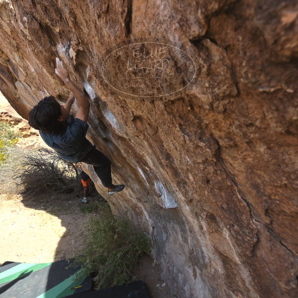 Filename: SRM_20251126_1109000.jpg
Aperture: f/5.6
Shutter Speed: 1/1000
Body: Canon EOS R6
Lens: Canon EF 16-35mm f/2.8 L