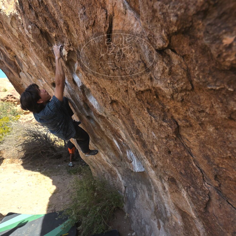 Filename: SRM_20251126_1109001.jpg
Aperture: f/5.6
Shutter Speed: 1/1000
Body: Canon EOS R6
Lens: Canon EF 16-35mm f/2.8 L