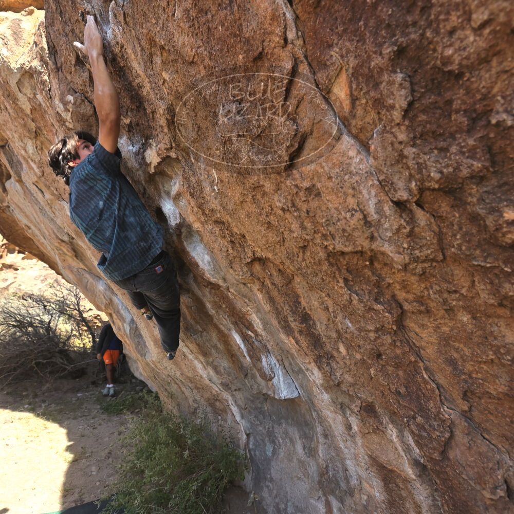 Filename: SRM_20251126_1109010.jpg
Aperture: f/5.6
Shutter Speed: 1/1000
Body: Canon EOS R6
Lens: Canon EF 16-35mm f/2.8 L