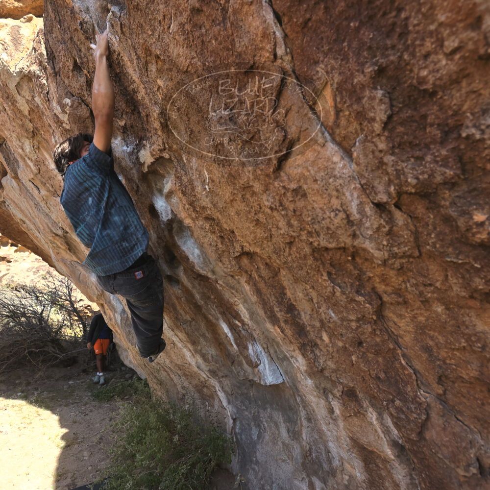 

Filename: SRM_20251126_1109011.jpg
Aperture: f/5.6
Shutter Speed: 1/1000
Body: Canon EOS R6
Lens: Canon EF 16-35mm f/2.8 L