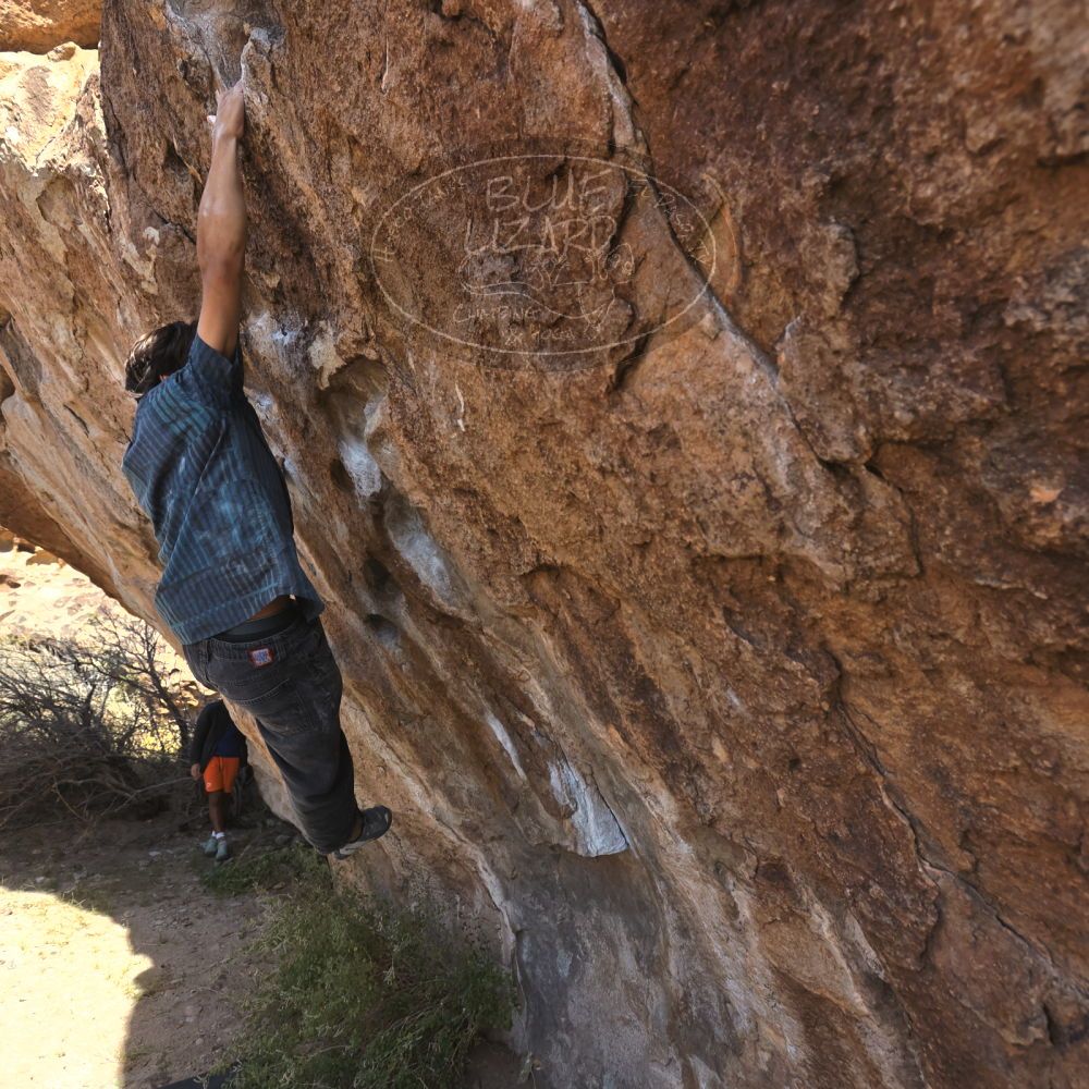 Filename: SRM_20251126_1109020.jpg
Aperture: f/5.6
Shutter Speed: 1/1000
Body: Canon EOS R6
Lens: Canon EF 16-35mm f/2.8 L