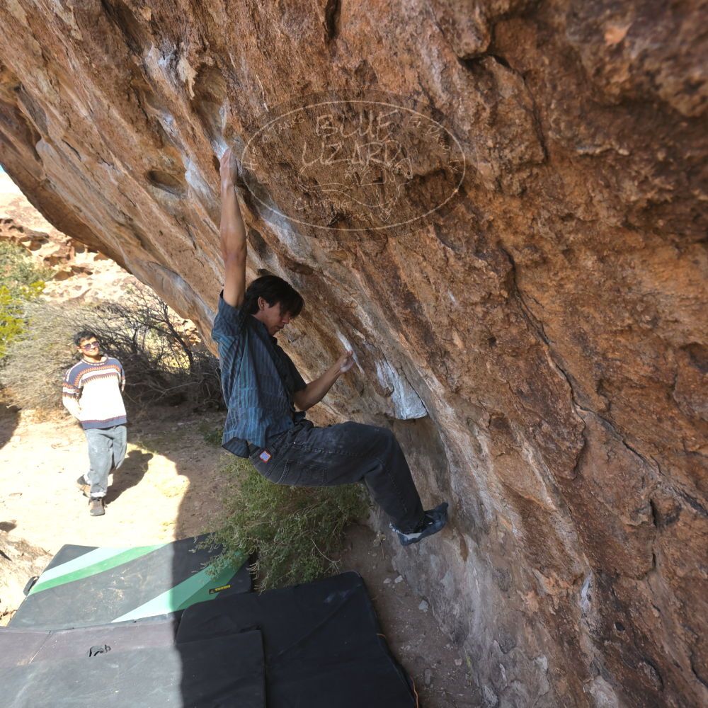 

Filename: SRM_20251126_1114080.jpg
Aperture: f/5.6
Shutter Speed: 1/1000
Body: Canon EOS R6
Lens: Canon EF 16-35mm f/2.8 L