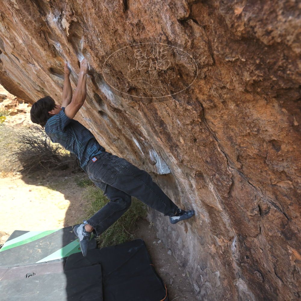 

Filename: SRM_20251126_1114110.jpg
Aperture: f/5.6
Shutter Speed: 1/1000
Body: Canon EOS R6
Lens: Canon EF 16-35mm f/2.8 L