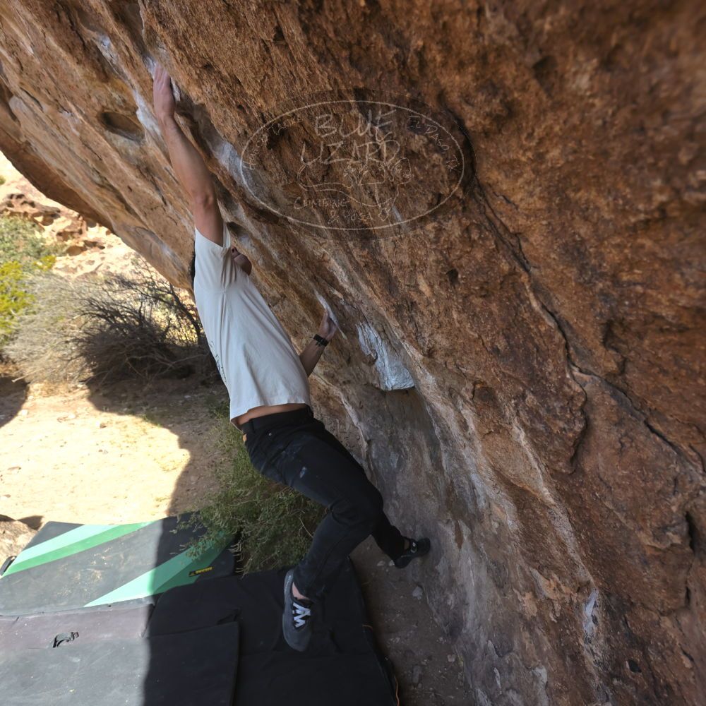 

Filename: SRM_20251126_1114410.jpg
Aperture: f/5.6
Shutter Speed: 1/1000
Body: Canon EOS R6
Lens: Canon EF 16-35mm f/2.8 L