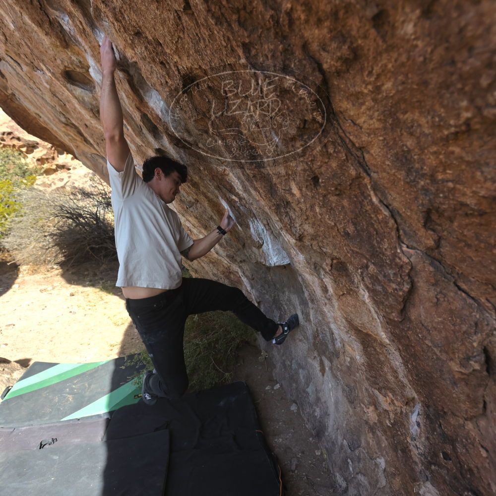 Filename: SRM_20251126_1114420.jpg
Aperture: f/5.6
Shutter Speed: 1/1000
Body: Canon EOS R6
Lens: Canon EF 16-35mm f/2.8 L