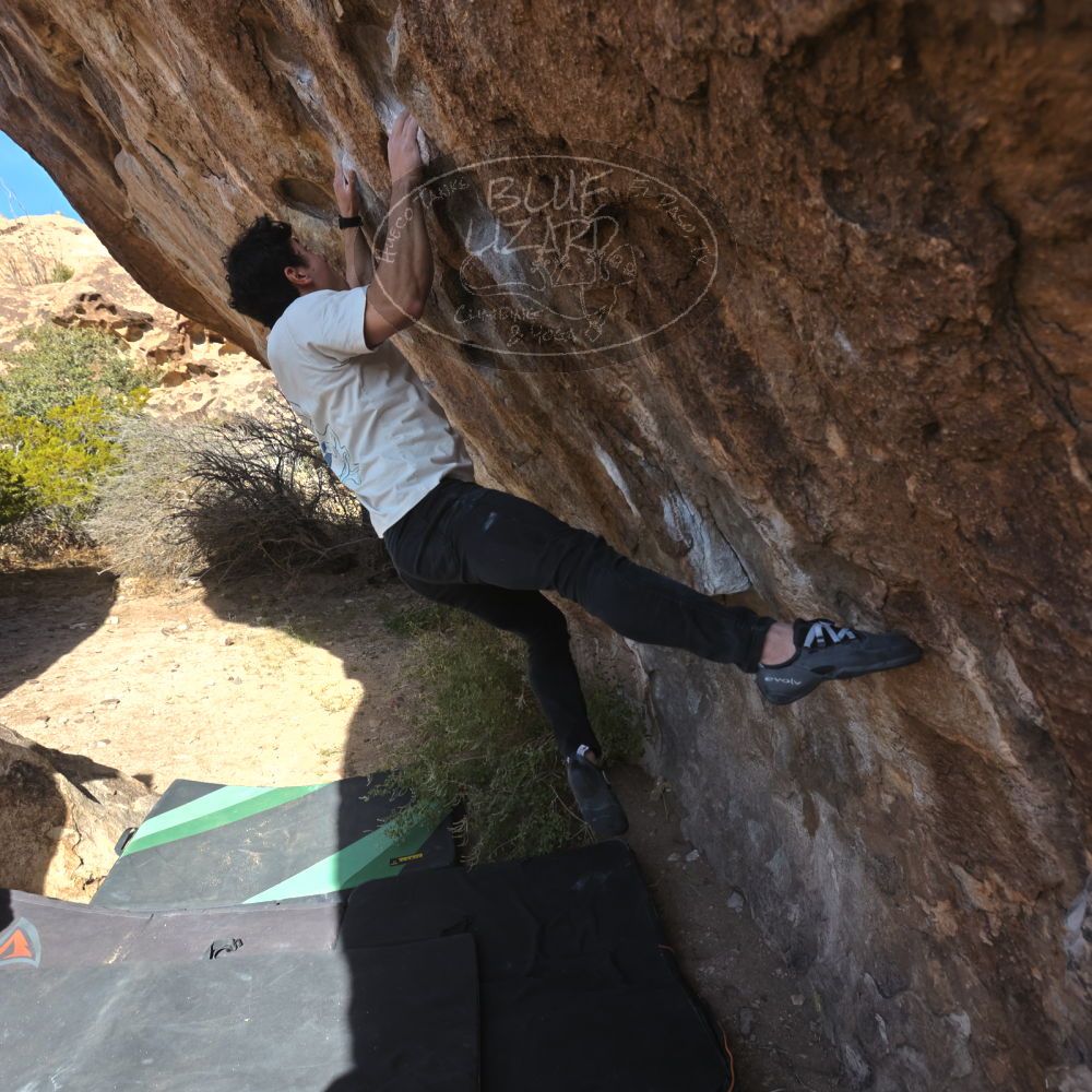 

Filename: SRM_20251126_1114460.jpg
Aperture: f/5.6
Shutter Speed: 1/1000
Body: Canon EOS R6
Lens: Canon EF 16-35mm f/2.8 L