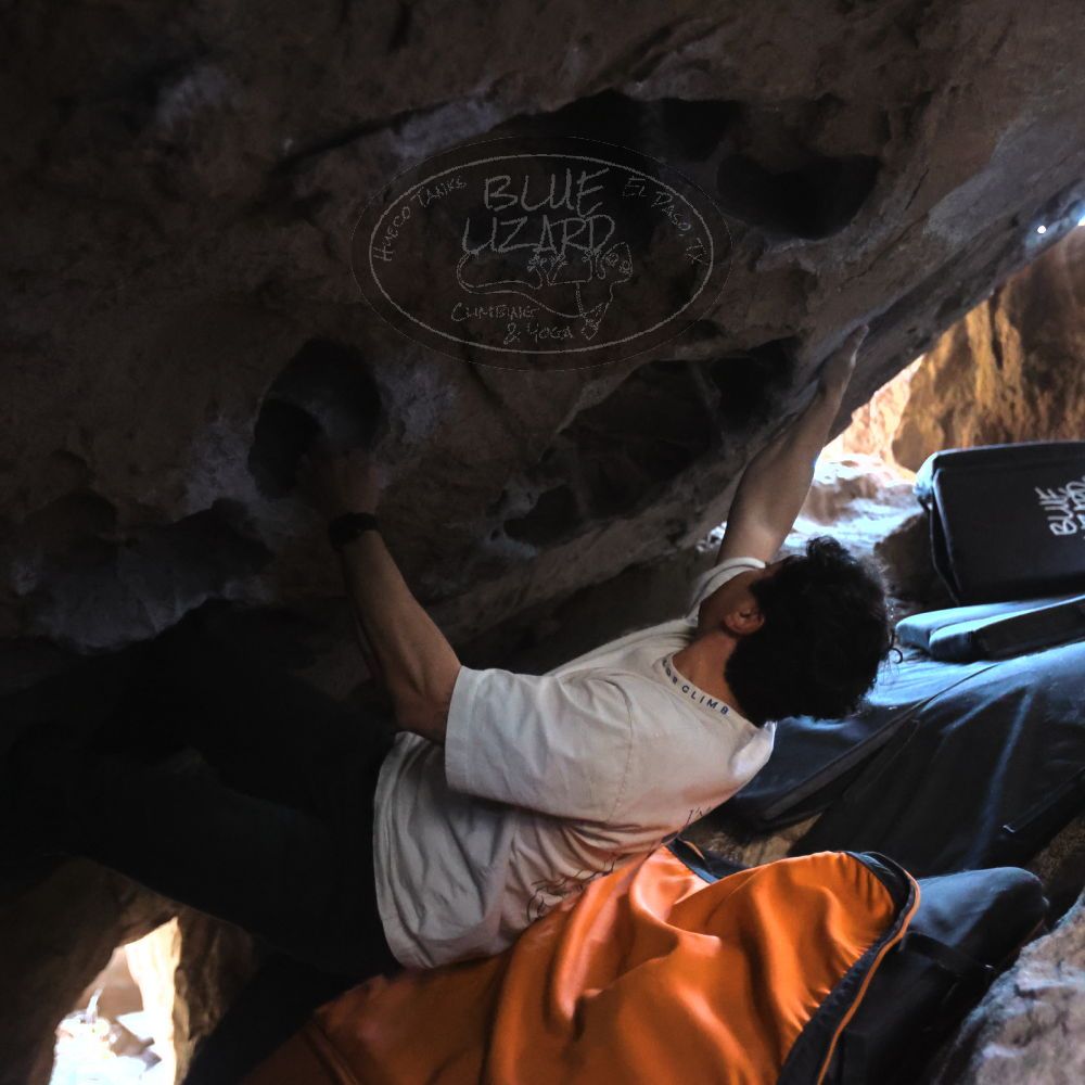 Filename: SRM_20251126_1202430.jpg
Aperture: f/2.8
Shutter Speed: 1/400
Body: Canon EOS R6
Lens: Canon EF 16-35mm f/2.8 L