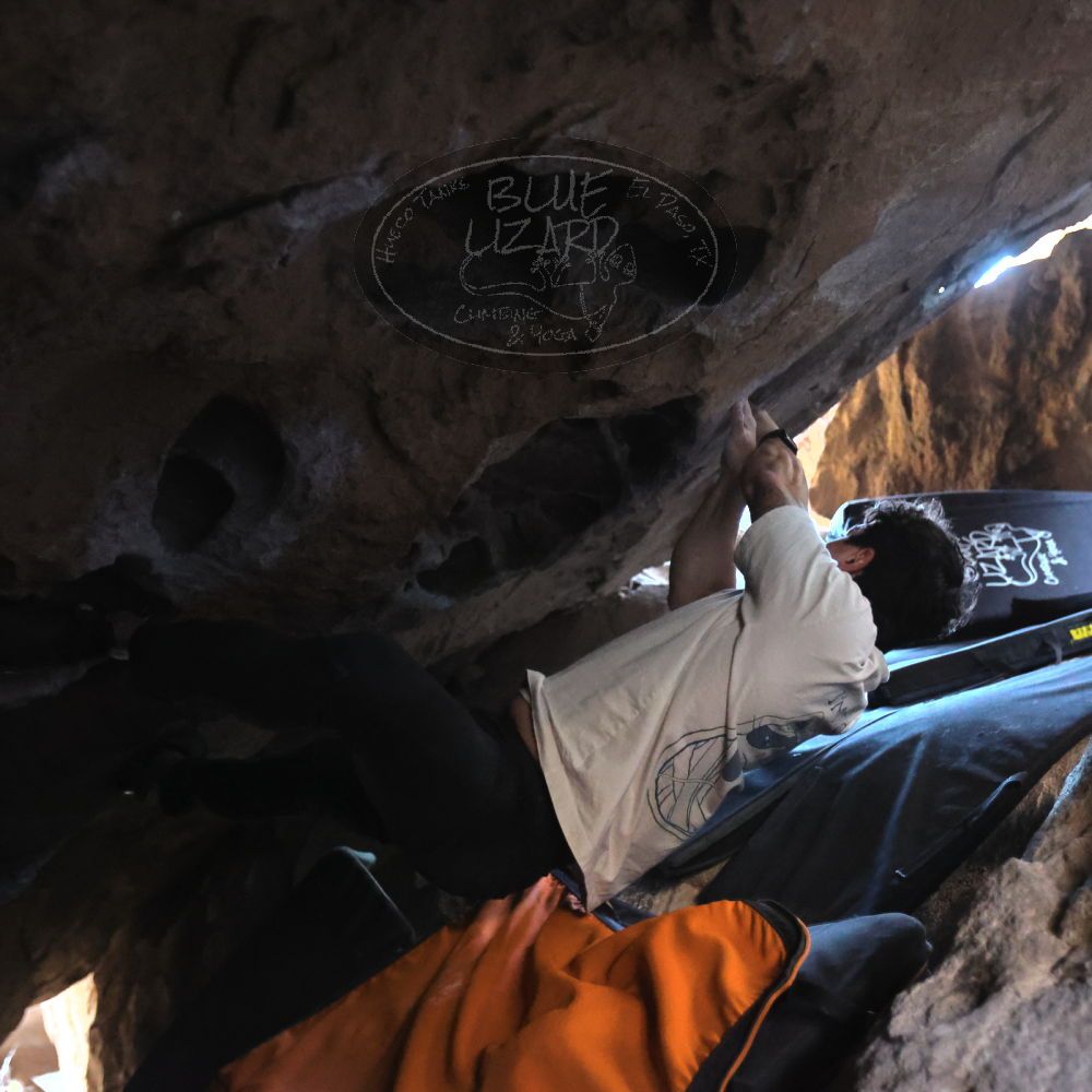 Filename: SRM_20251126_1202460.jpg
Aperture: f/2.8
Shutter Speed: 1/400
Body: Canon EOS R6
Lens: Canon EF 16-35mm f/2.8 L