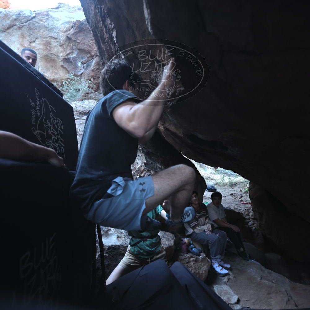 

Filename: SRM_20251126_1205460.jpg
Aperture: f/2.8
Shutter Speed: 1/400
Body: Canon EOS R6
Lens: Canon EF 16-35mm f/2.8 L