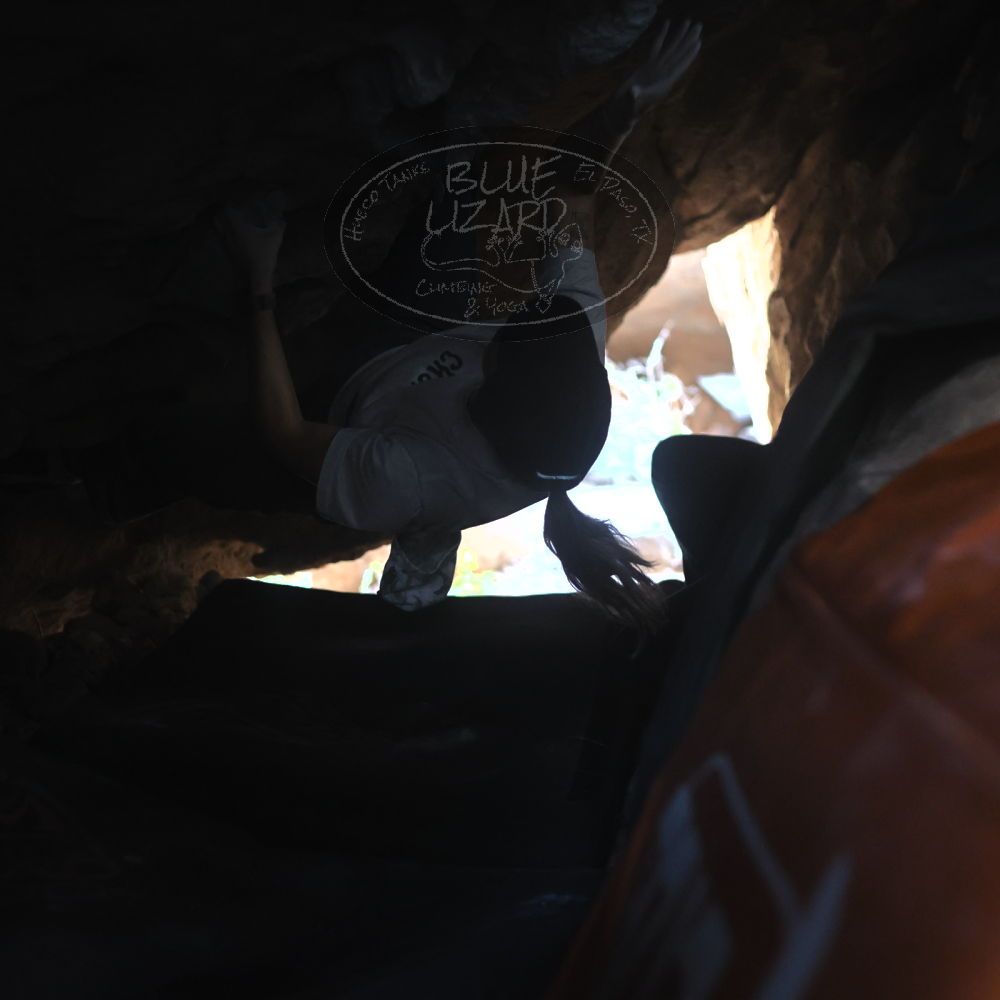 Filename: SRM_20251126_1238330.jpg
Aperture: f/2.2
Shutter Speed: 1/320
Body: Canon EOS R6
Lens: Canon EF 50mm f/1.8 II