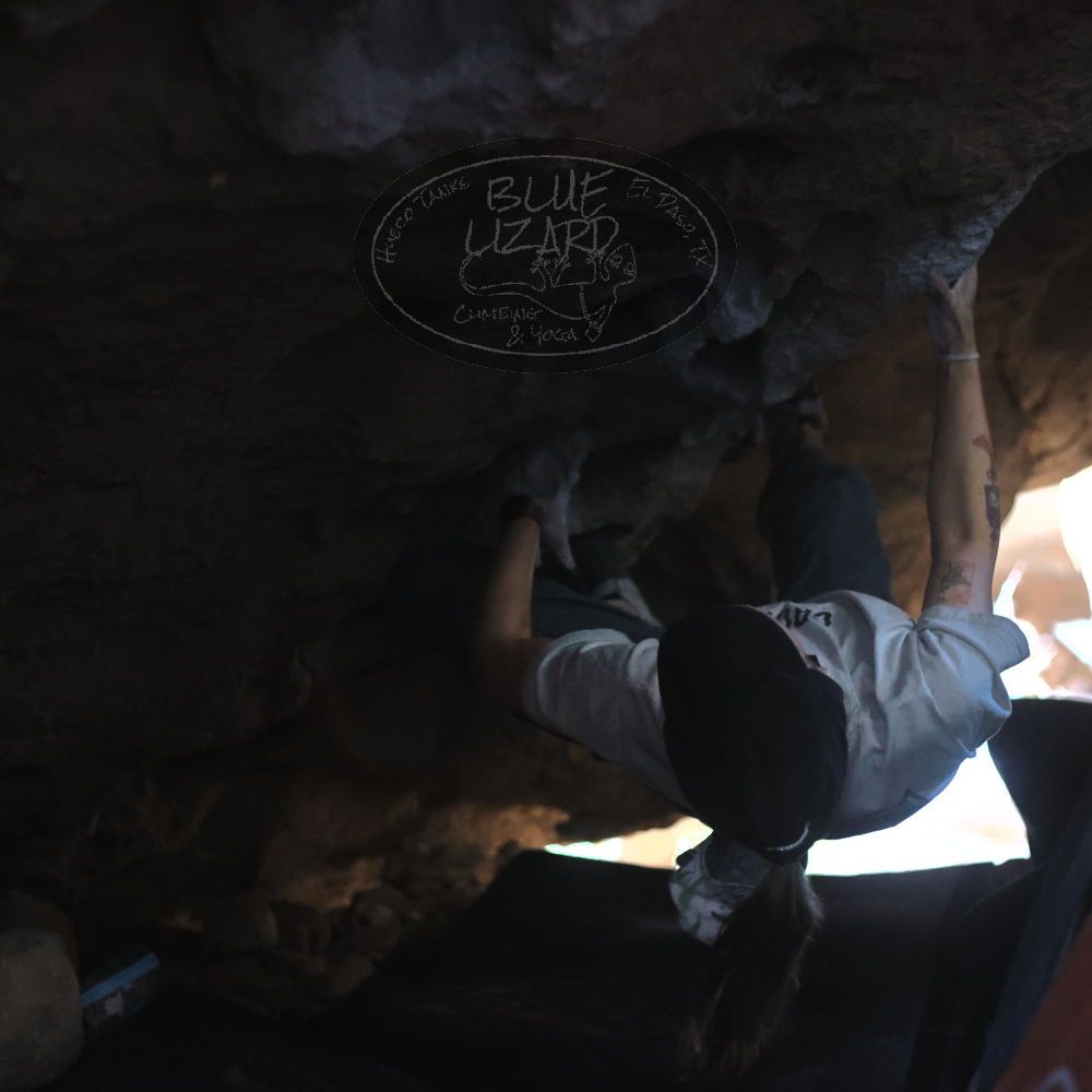 Filename: SRM_20251126_1239550.jpg
Aperture: f/2.2
Shutter Speed: 1/320
Body: Canon EOS R6
Lens: Canon EF 50mm f/1.8 II