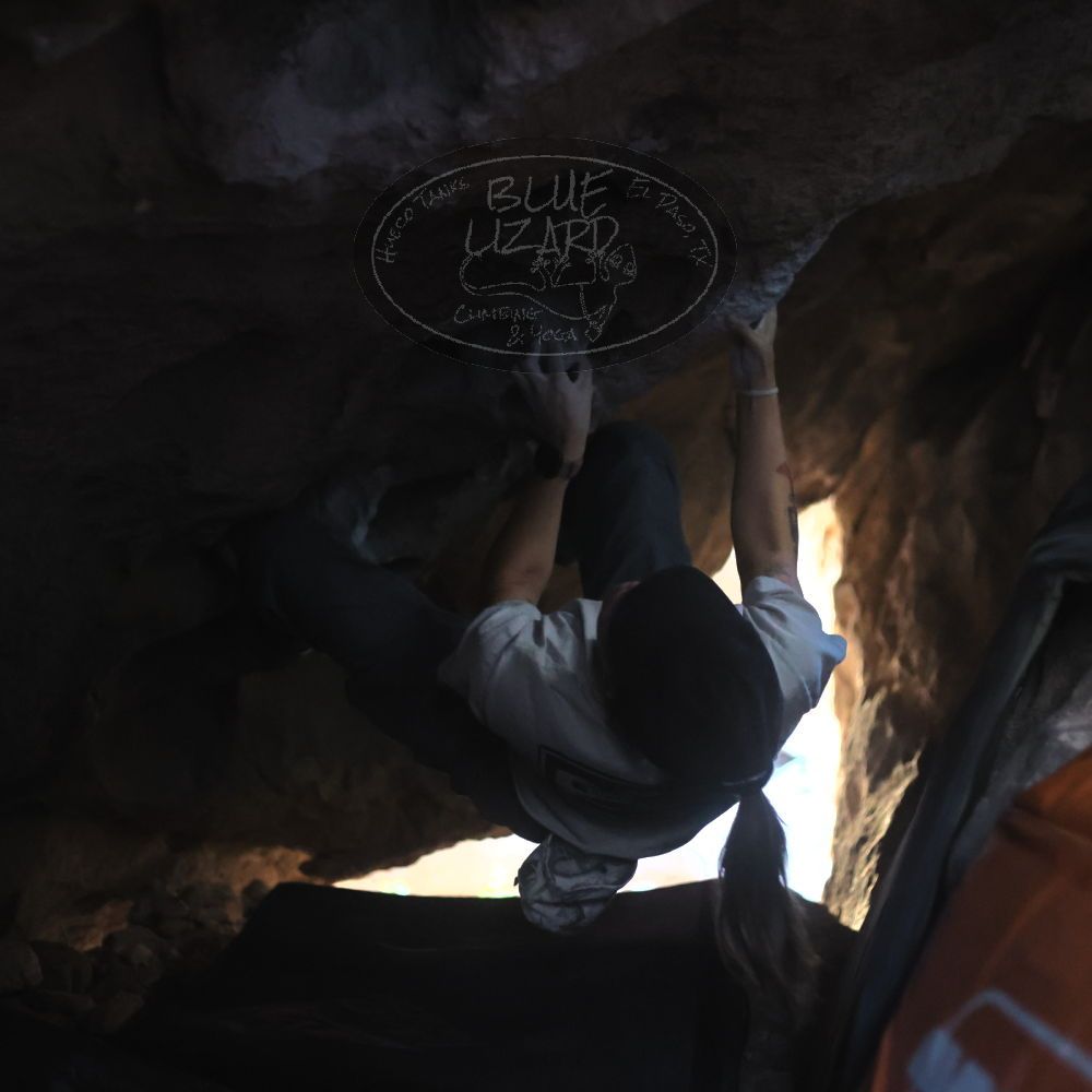 Filename: SRM_20251126_1244150.jpg
Aperture: f/2.2
Shutter Speed: 1/320
Body: Canon EOS R6
Lens: Canon EF 50mm f/1.8 II