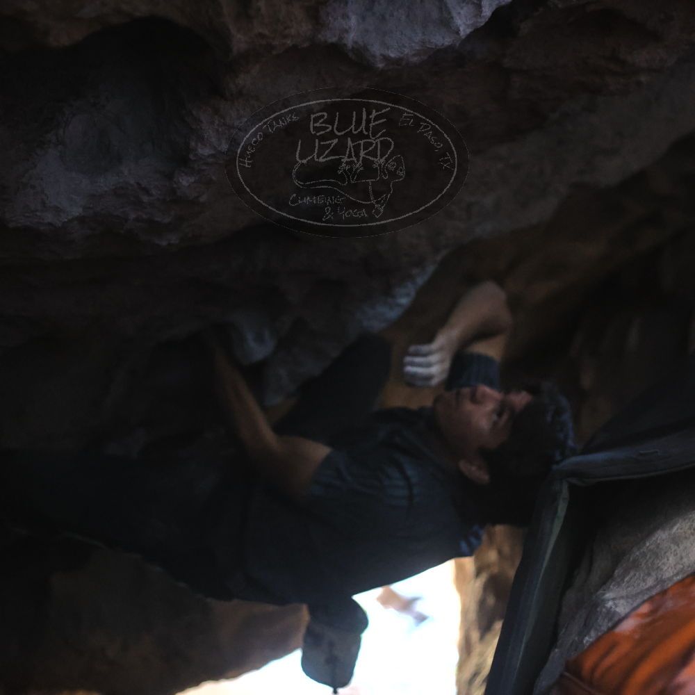 Filename: SRM_20251126_1252220.jpg
Aperture: f/2.2
Shutter Speed: 1/320
Body: Canon EOS R6
Lens: Canon EF 50mm f/1.8 II