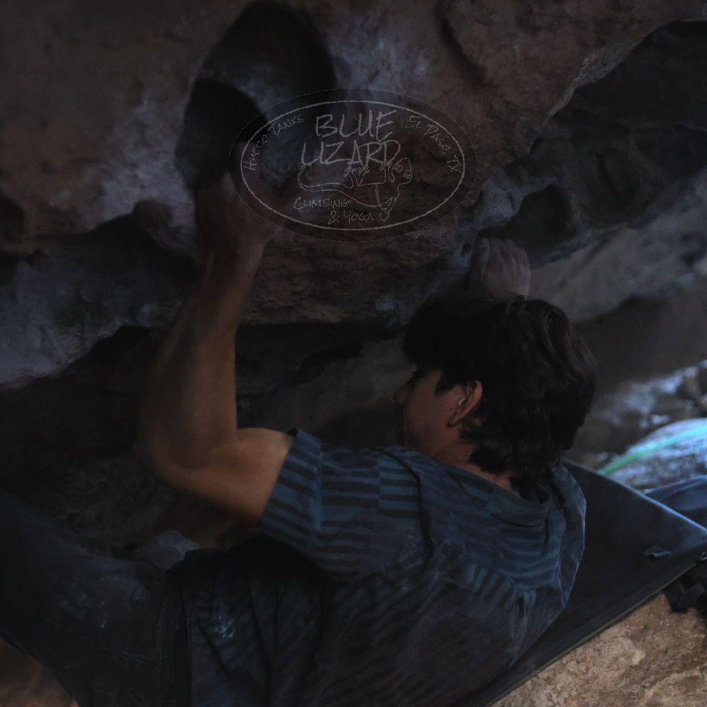 Filename: SRM_20251126_1301430.jpg
Aperture: f/2.2
Shutter Speed: 1/320
Body: Canon EOS R6
Lens: Canon EF 50mm f/1.8 II