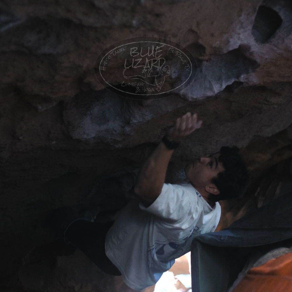 Filename: SRM_20251126_1327410.jpg
Aperture: f/2.2
Shutter Speed: 1/320
Body: Canon EOS R6
Lens: Canon EF 50mm f/1.8 II