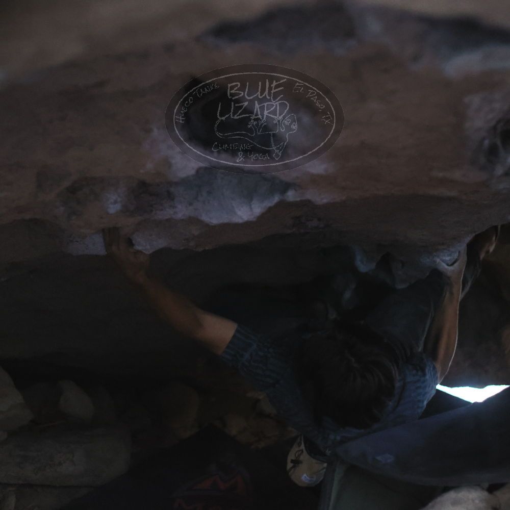 Filename: SRM_20251126_1330120.jpg
Aperture: f/2.2
Shutter Speed: 1/320
Body: Canon EOS R6
Lens: Canon EF 50mm f/1.8 II