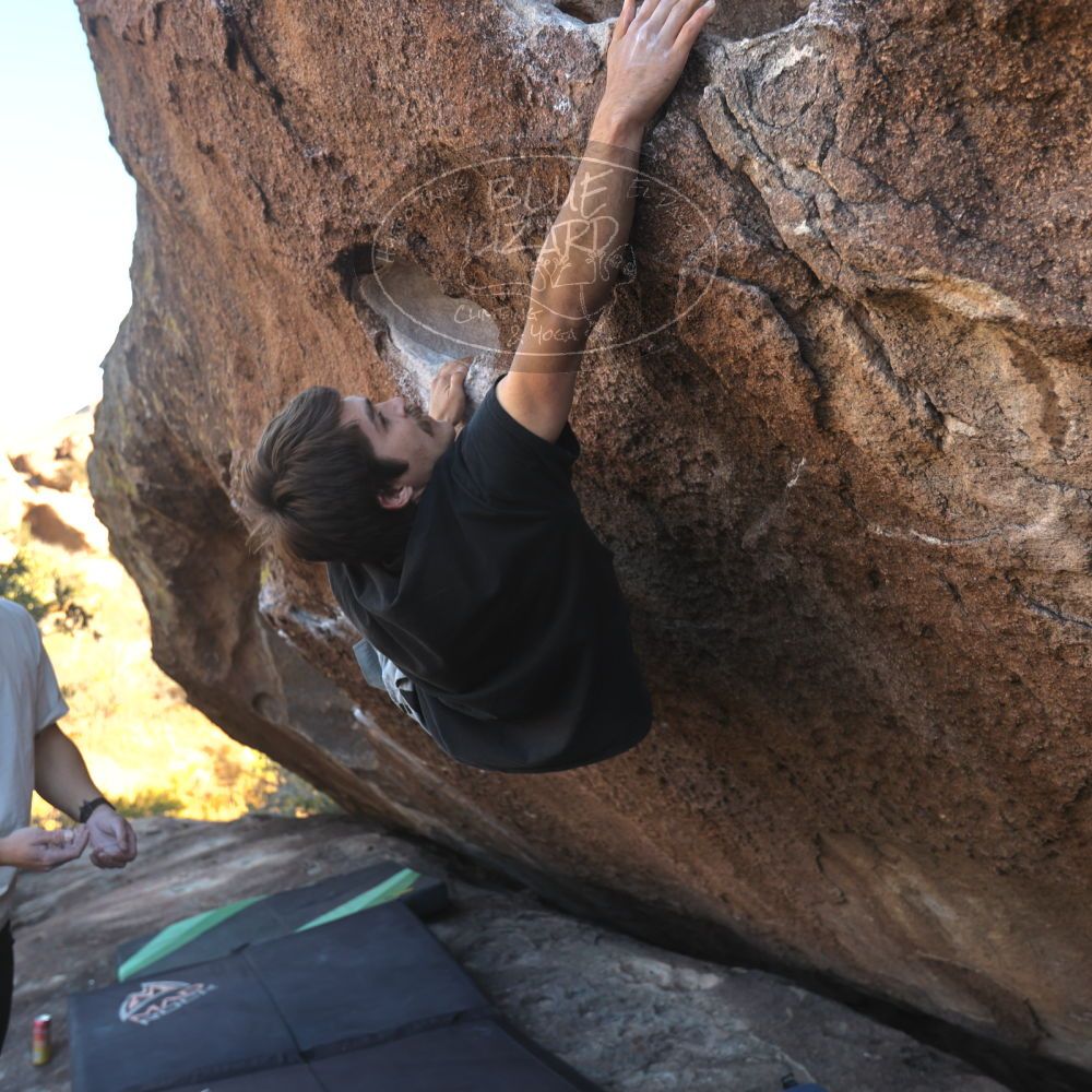 

Filename: SRM_20251126_1418050.jpg
Aperture: f/4.0
Shutter Speed: 1/320
Body: Canon EOS R6
Lens: Canon EF 16-35mm f/2.8 L