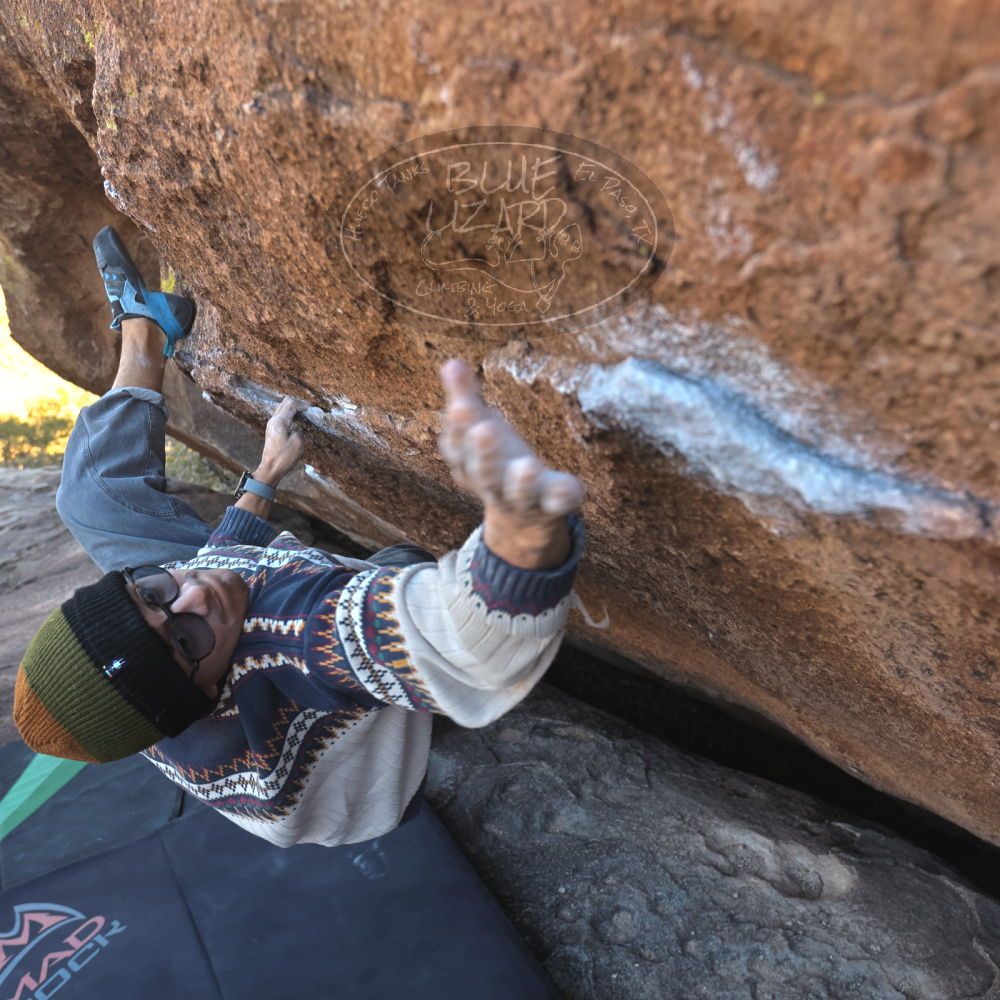 Filename: SRM_20251126_1424540.jpg
Aperture: f/4.0
Shutter Speed: 1/320
Body: Canon EOS R6
Lens: Canon EF 16-35mm f/2.8 L