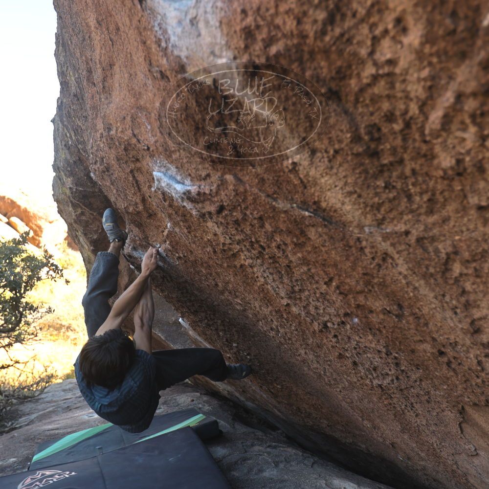 

Filename: SRM_20251126_1433370.jpg
Aperture: f/3.5
Shutter Speed: 1/320
Body: Canon EOS R6
Lens: Canon EF 16-35mm f/2.8 L