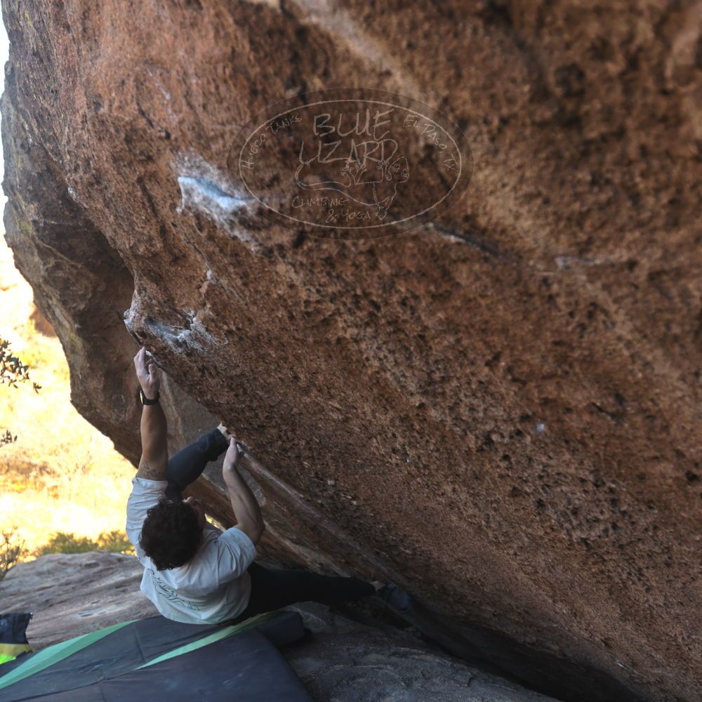 

Filename: SRM_20251126_1434330.jpg
Aperture: f/3.5
Shutter Speed: 1/320
Body: Canon EOS R6
Lens: Canon EF 16-35mm f/2.8 L