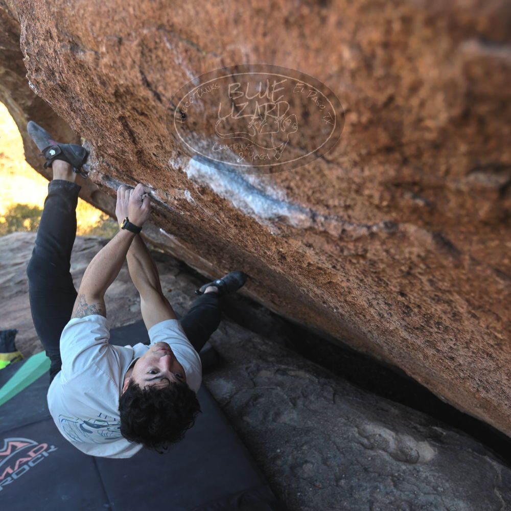 

Filename: SRM_20251126_1434500.jpg
Aperture: f/3.5
Shutter Speed: 1/320
Body: Canon EOS R6
Lens: Canon EF 16-35mm f/2.8 L