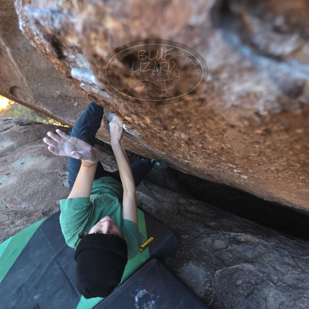 Filename: SRM_20251126_1436480.jpg
Aperture: f/3.5
Shutter Speed: 1/320
Body: Canon EOS R6
Lens: Canon EF 16-35mm f/2.8 L