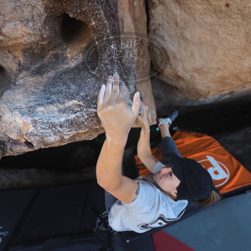 Filename: SRM_20251126_1439501.jpg
Aperture: f/4.0
Shutter Speed: 1/400
Body: Canon EOS R6
Lens: Canon EF 16-35mm f/2.8 L