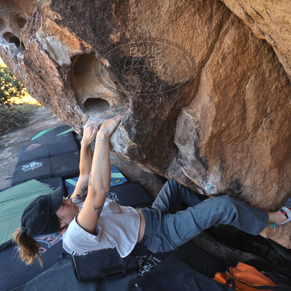 

Filename: SRM_20251126_1441140.jpg
Aperture: f/4.0
Shutter Speed: 1/400
Body: Canon EOS R6
Lens: Canon EF 16-35mm f/2.8 L