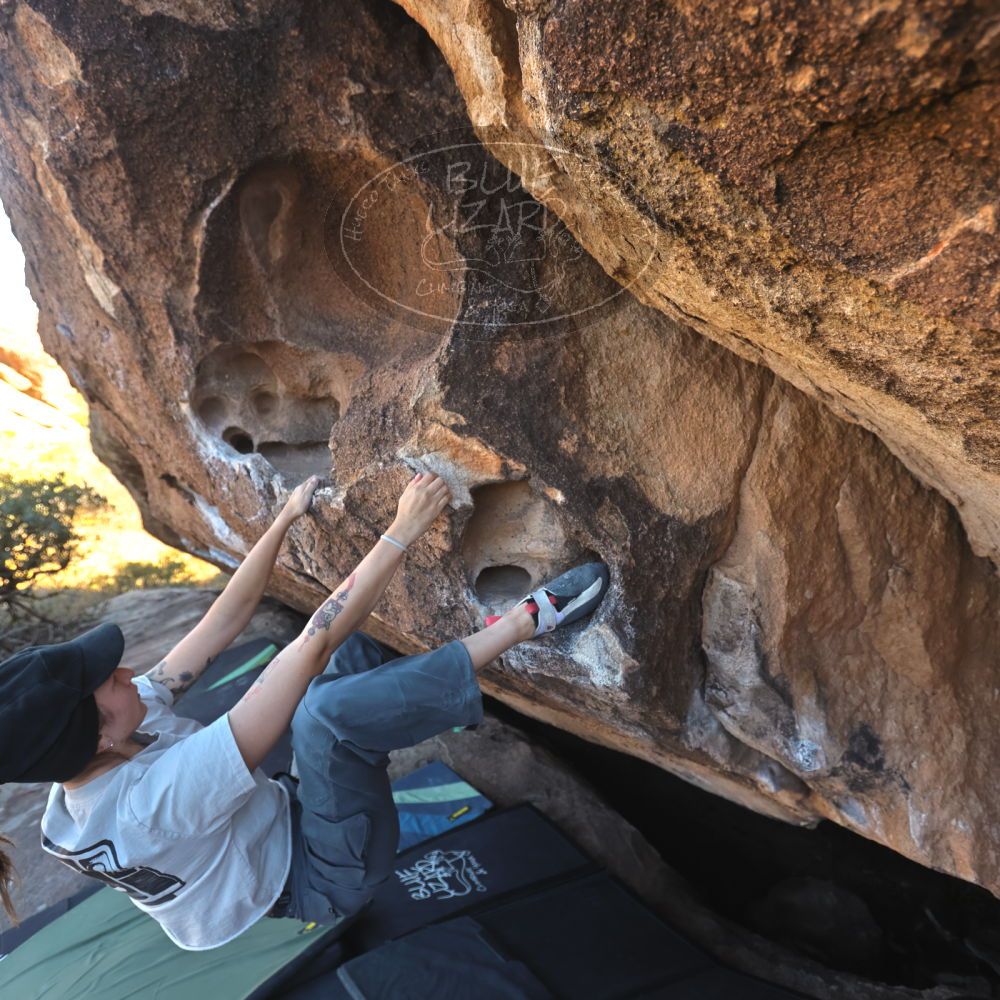 Filename: SRM_20251126_1441290.jpg
Aperture: f/4.0
Shutter Speed: 1/400
Body: Canon EOS R6
Lens: Canon EF 16-35mm f/2.8 L