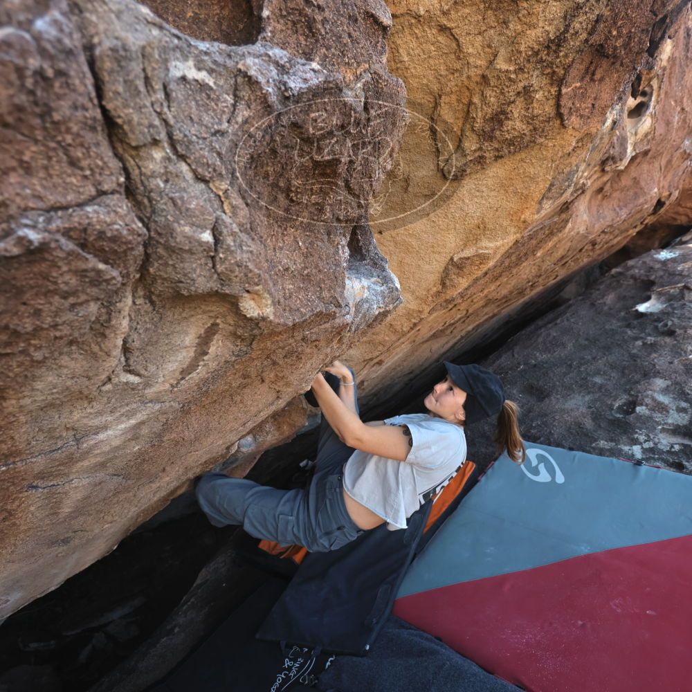 Filename: SRM_20251126_1451090.jpg
Aperture: f/4.0
Shutter Speed: 1/400
Body: Canon EOS R6
Lens: Canon EF 16-35mm f/2.8 L