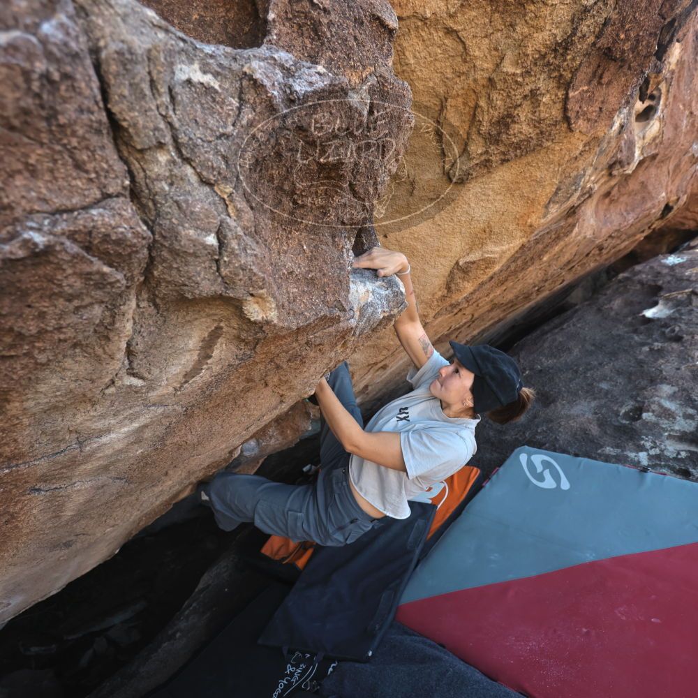 

Filename: SRM_20251126_1451091.jpg
Aperture: f/4.0
Shutter Speed: 1/400
Body: Canon EOS R6
Lens: Canon EF 16-35mm f/2.8 L