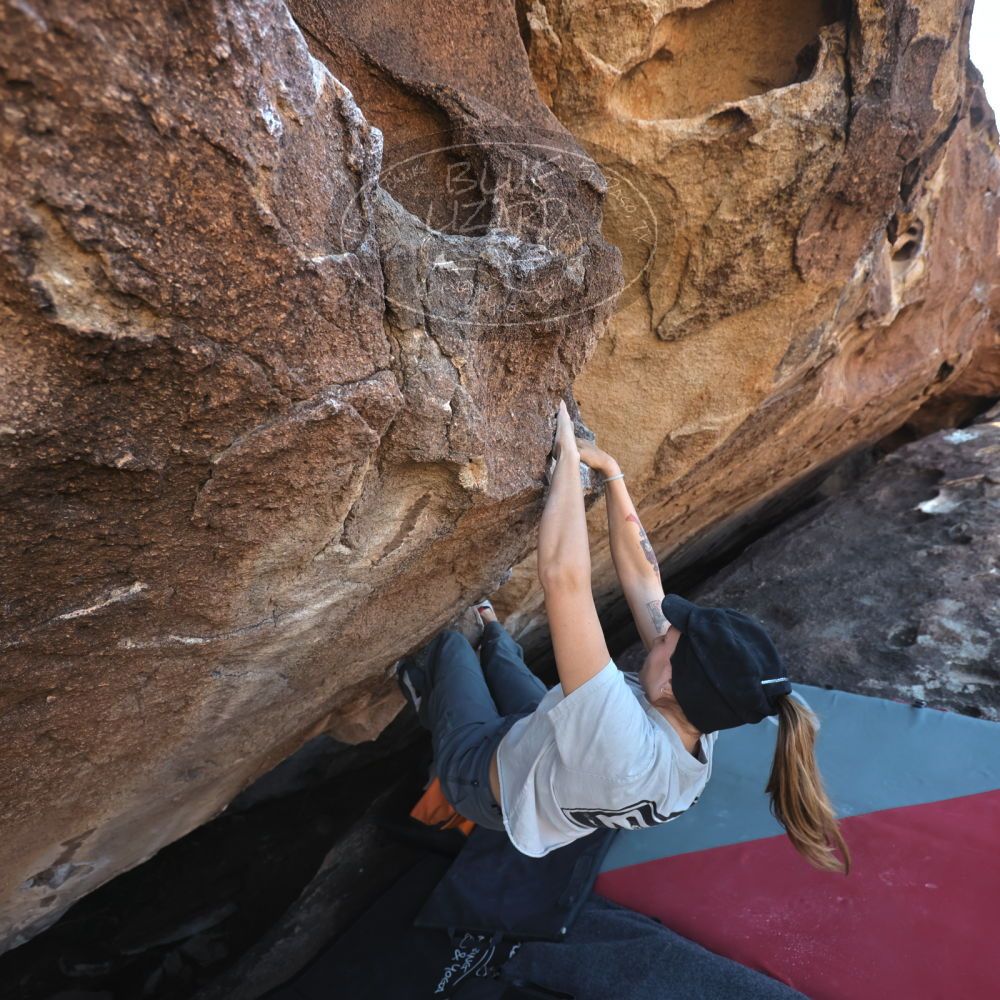 Filename: SRM_20251126_1451140.jpg
Aperture: f/4.0
Shutter Speed: 1/400
Body: Canon EOS R6
Lens: Canon EF 16-35mm f/2.8 L