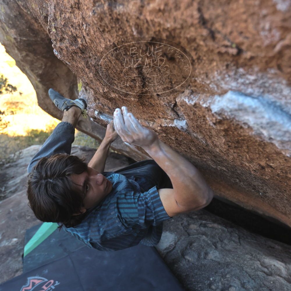 Filename: SRM_20251126_1500120.jpg
Aperture: f/4.0
Shutter Speed: 1/400
Body: Canon EOS R6
Lens: Canon EF 16-35mm f/2.8 L