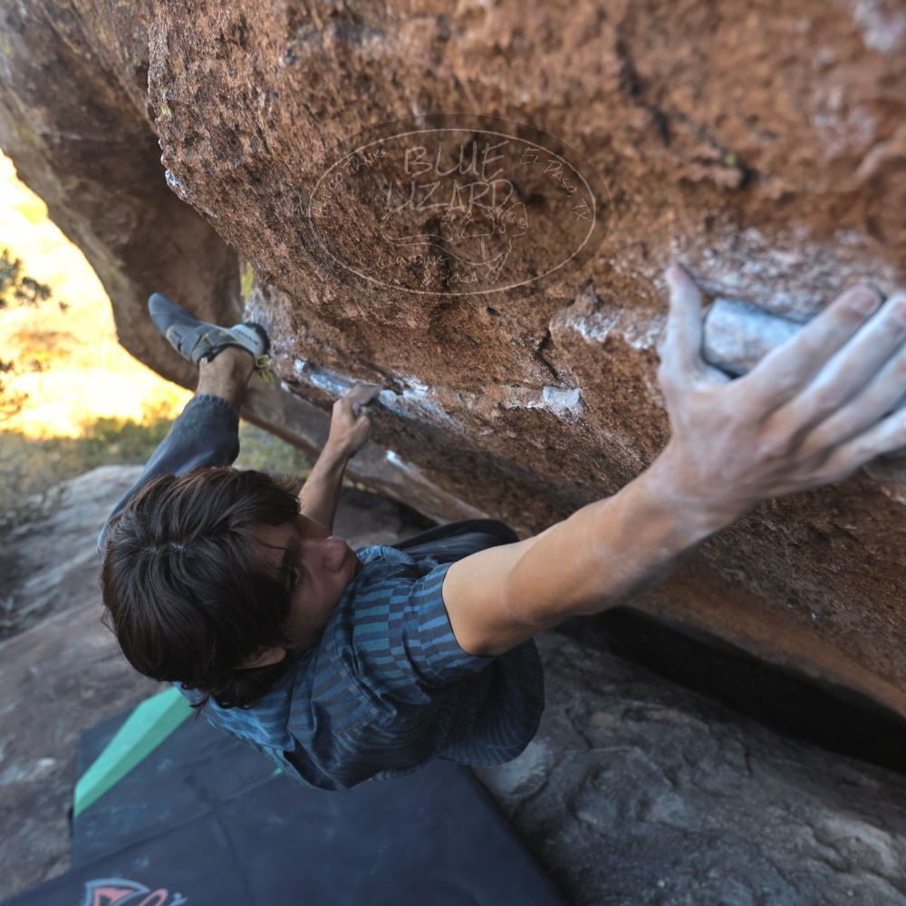 Filename: SRM_20251126_1500121.jpg
Aperture: f/4.0
Shutter Speed: 1/400
Body: Canon EOS R6
Lens: Canon EF 16-35mm f/2.8 L