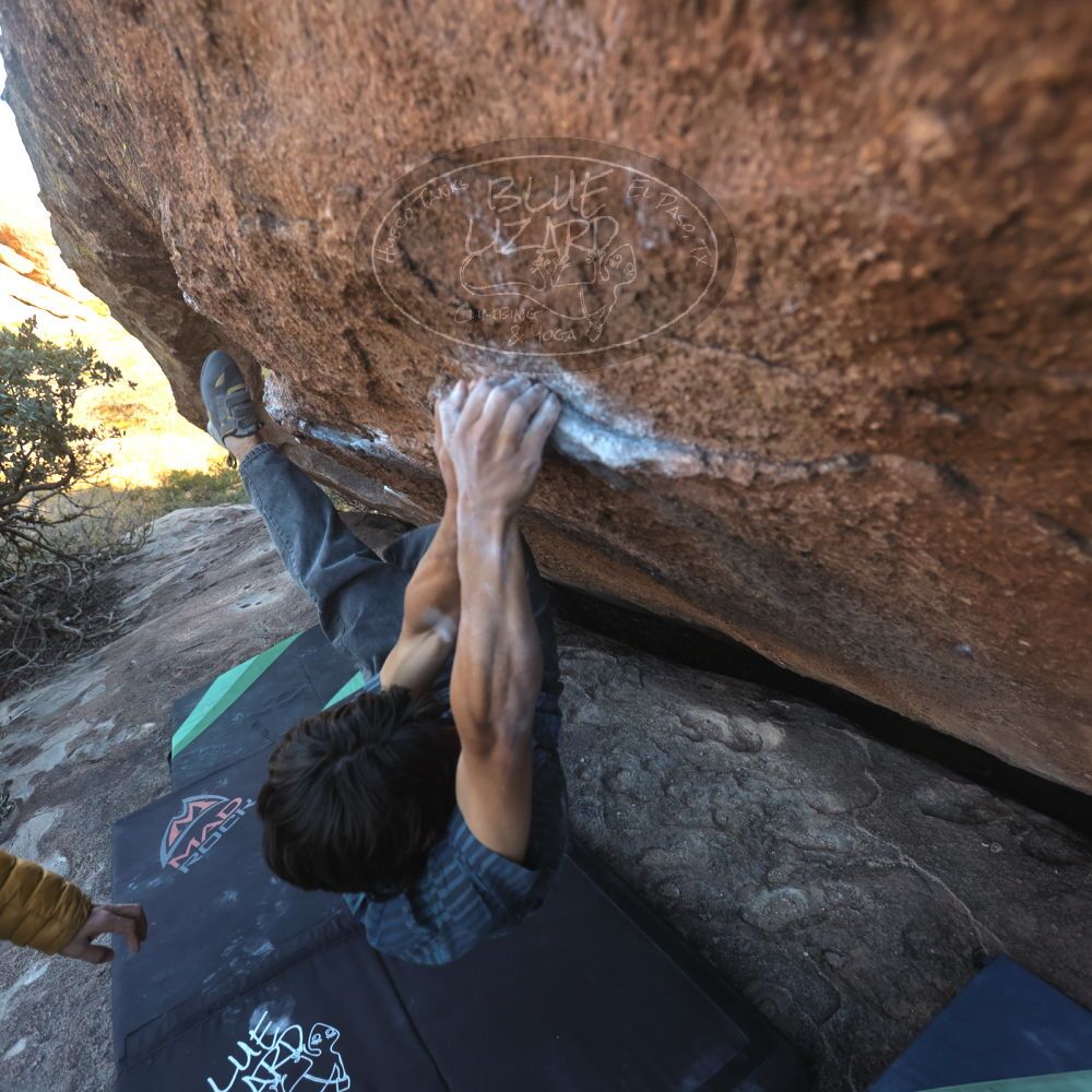 Filename: SRM_20251126_1501160.jpg
Aperture: f/4.0
Shutter Speed: 1/400
Body: Canon EOS R6
Lens: Canon EF 16-35mm f/2.8 L