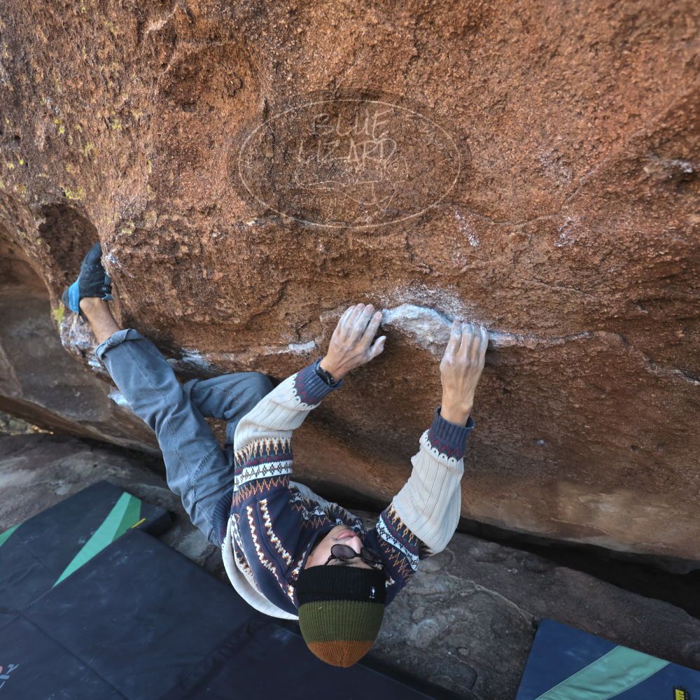 

Filename: SRM_20251126_1502450.jpg
Aperture: f/4.0
Shutter Speed: 1/400
Body: Canon EOS R6
Lens: Canon EF 16-35mm f/2.8 L