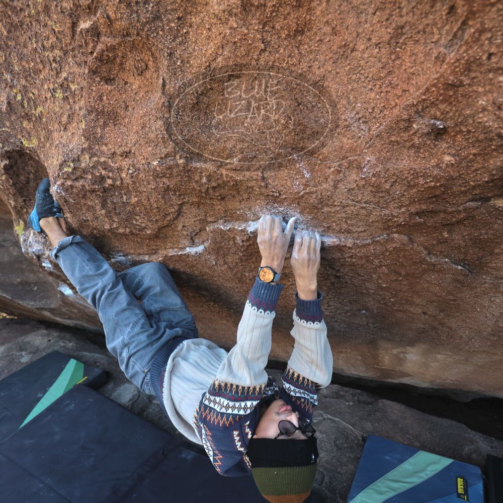 Filename: SRM_20251126_1502460.jpg
Aperture: f/4.0
Shutter Speed: 1/400
Body: Canon EOS R6
Lens: Canon EF 16-35mm f/2.8 L