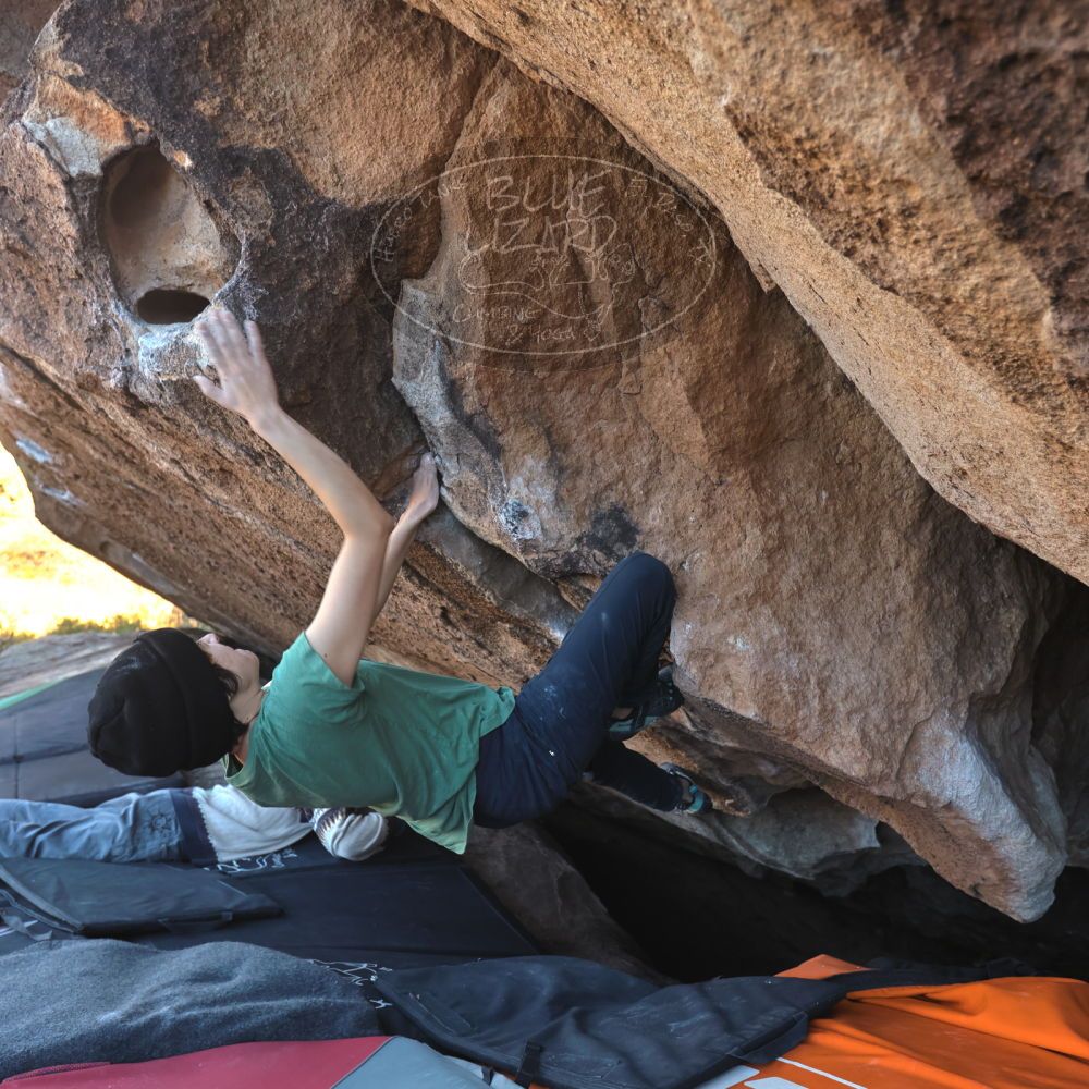 

Filename: SRM_20251126_1505370.jpg
Aperture: f/4.0
Shutter Speed: 1/400
Body: Canon EOS R6
Lens: Canon EF 16-35mm f/2.8 L