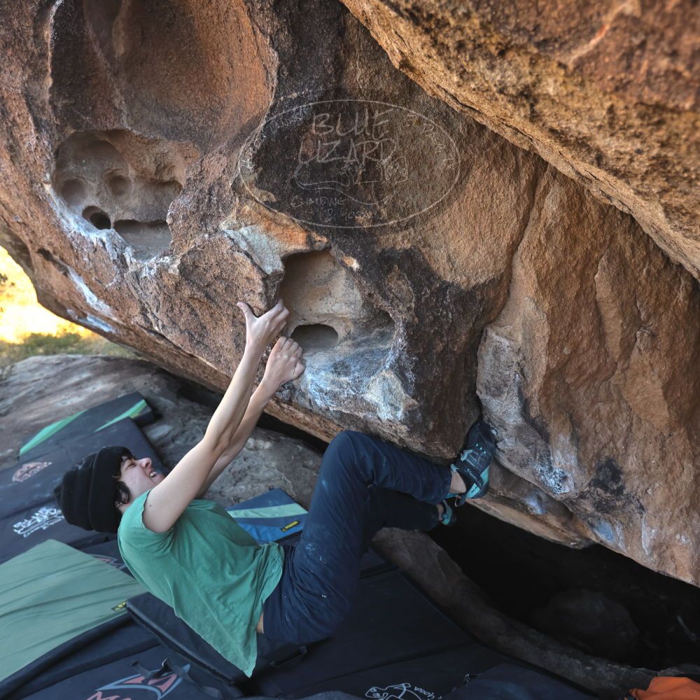 

Filename: SRM_20251126_1505551.jpg
Aperture: f/4.0
Shutter Speed: 1/400
Body: Canon EOS R6
Lens: Canon EF 16-35mm f/2.8 L