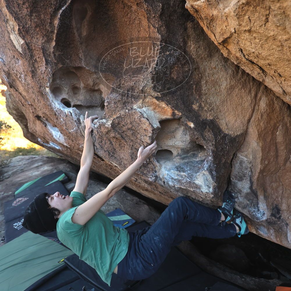 Filename: SRM_20251126_1506001.jpg
Aperture: f/4.0
Shutter Speed: 1/400
Body: Canon EOS R6
Lens: Canon EF 16-35mm f/2.8 L