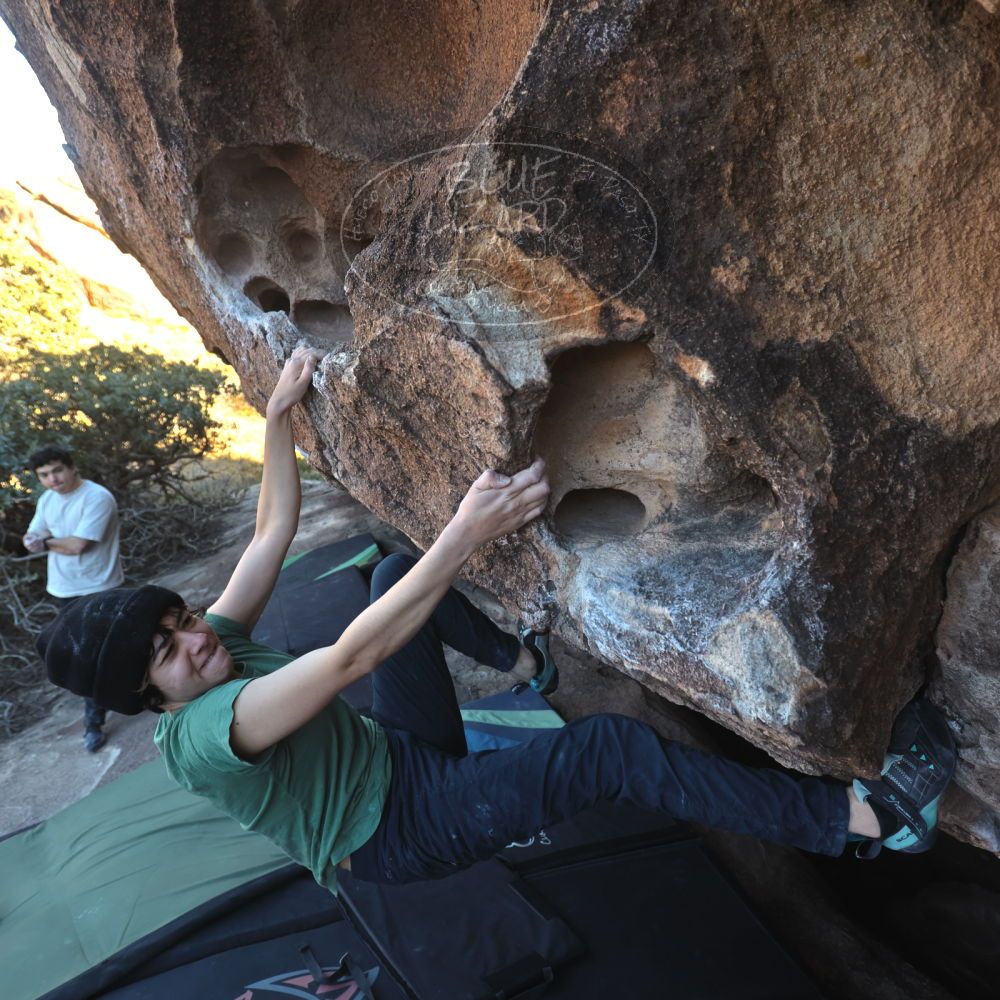 

Filename: SRM_20251126_1506080.jpg
Aperture: f/4.0
Shutter Speed: 1/400
Body: Canon EOS R6
Lens: Canon EF 16-35mm f/2.8 L