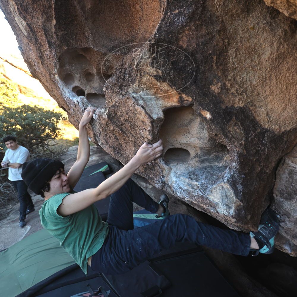 Filename: SRM_20251126_1506090.jpg
Aperture: f/4.0
Shutter Speed: 1/400
Body: Canon EOS R6
Lens: Canon EF 16-35mm f/2.8 L