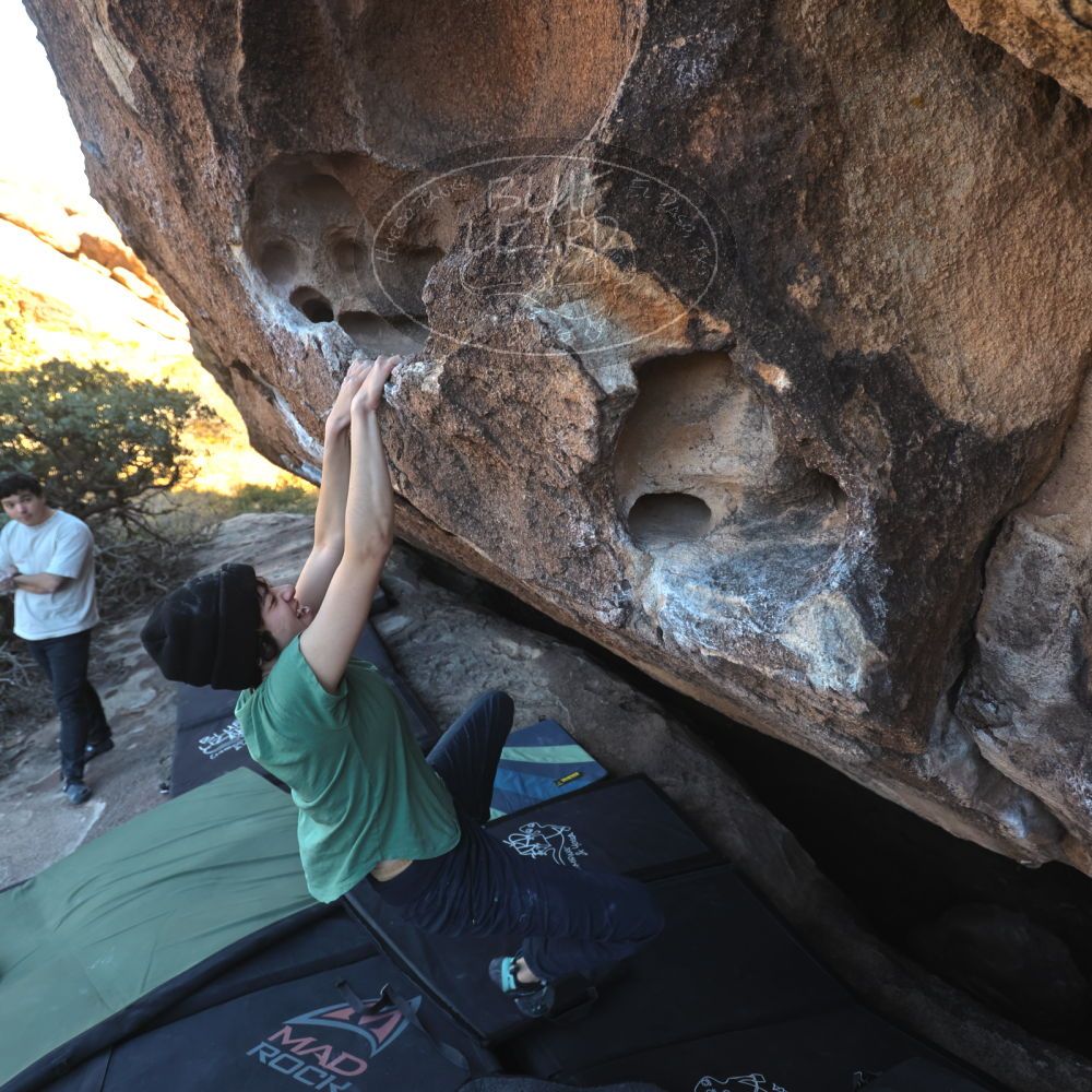 Filename: SRM_20251126_1506110.jpg
Aperture: f/4.0
Shutter Speed: 1/400
Body: Canon EOS R6
Lens: Canon EF 16-35mm f/2.8 L