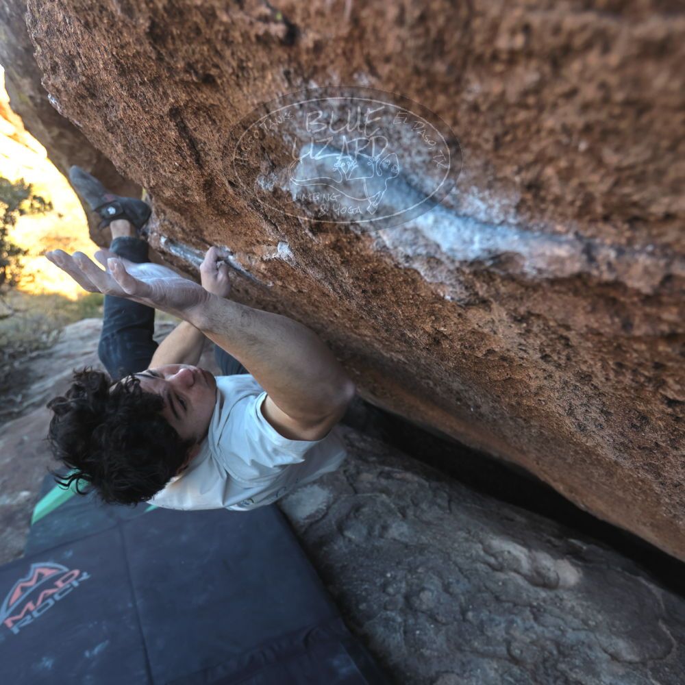 

Filename: SRM_20251126_1510211.jpg
Aperture: f/4.0
Shutter Speed: 1/400
Body: Canon EOS R6
Lens: Canon EF 16-35mm f/2.8 L