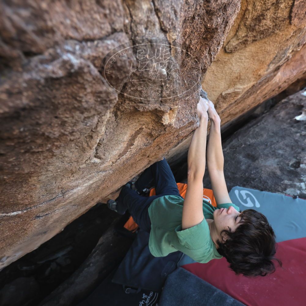 

Filename: SRM_20251126_1514010.jpg
Aperture: f/4.0
Shutter Speed: 1/400
Body: Canon EOS R6
Lens: Canon EF 16-35mm f/2.8 L