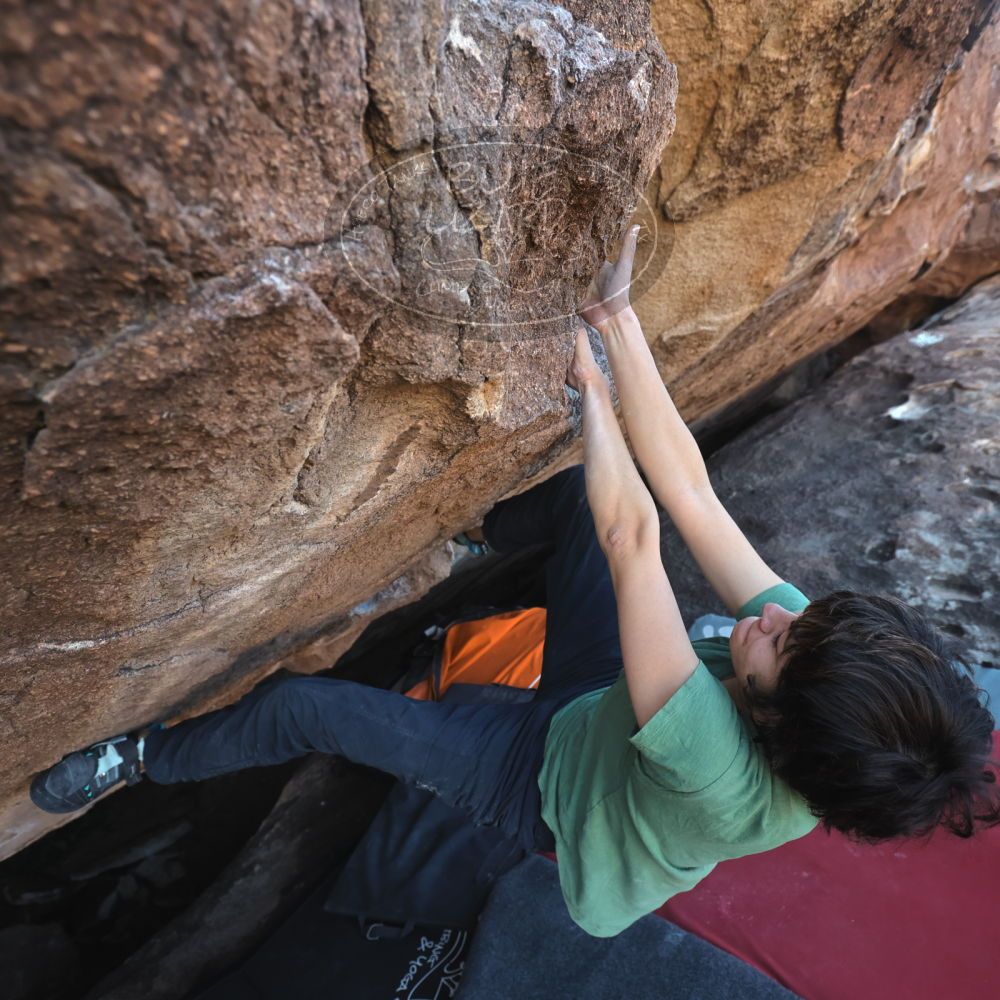 Filename: SRM_20251126_1514080.jpg
Aperture: f/4.0
Shutter Speed: 1/400
Body: Canon EOS R6
Lens: Canon EF 16-35mm f/2.8 L