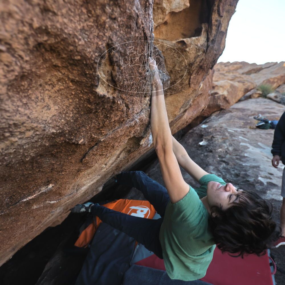 

Filename: SRM_20251126_1514110.jpg
Aperture: f/4.0
Shutter Speed: 1/400
Body: Canon EOS R6
Lens: Canon EF 16-35mm f/2.8 L