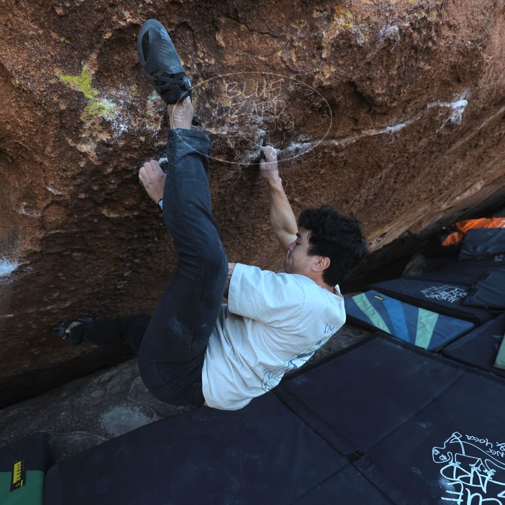 Filename: SRM_20251126_1516440.jpg
Aperture: f/4.0
Shutter Speed: 1/400
Body: Canon EOS R6
Lens: Canon EF 16-35mm f/2.8 L